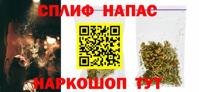индика Заволжье