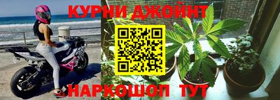 индика Заволжье
