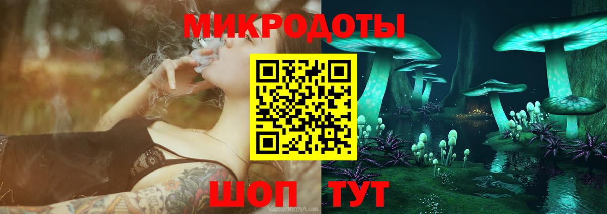 Псилоцибиновые грибы Psilocybine cubensis Курчалой